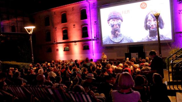 Festival International Du Film2