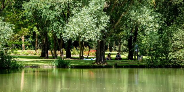 Parc De L'embanie - Heillecourt