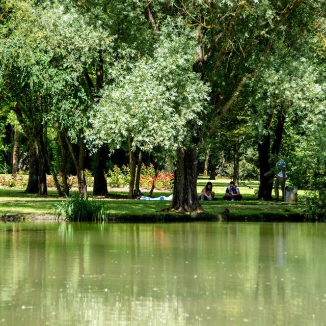 Parc De L'embanie - Heillecourt