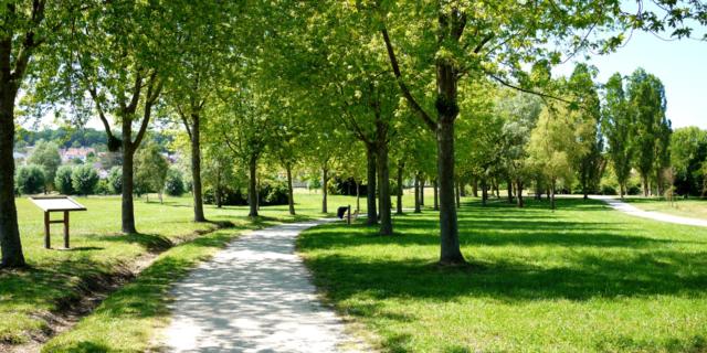 Parc de Saulxure les Nancy