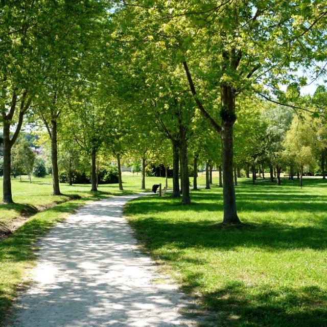 Parc de Saulxure les Nancy