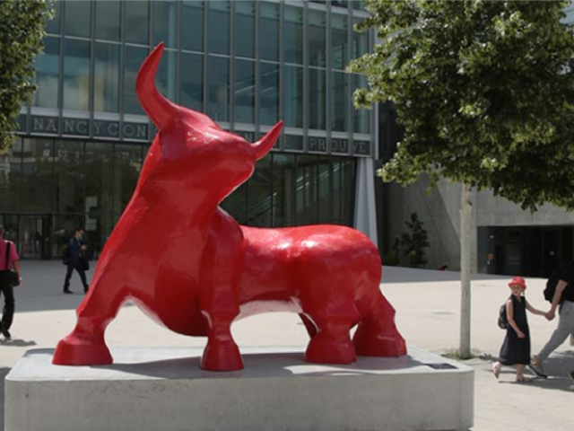 Taureau Rouge de Gé.Pellini - Nancy