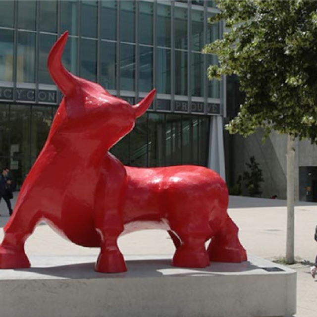 Taureau Rouge de Gé.Pellini - Nancy