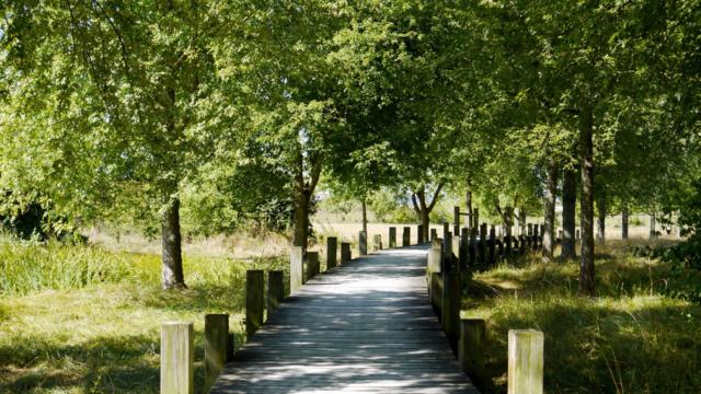 Parc Des Etangs