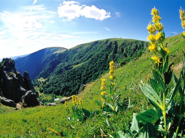 Massif des Vosges