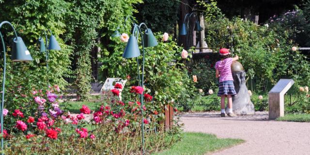 Jardin De La Pepiniere