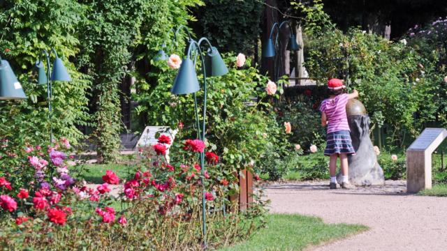 Jardin De La Pepiniere