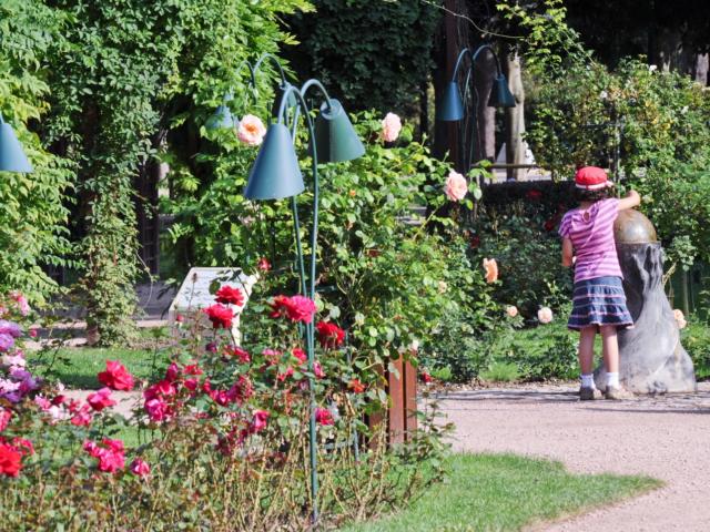 Jardin De La Pepiniere