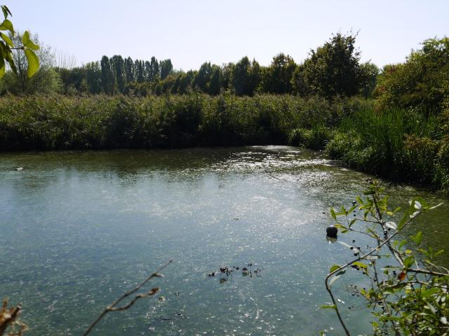 Parc Des Etangs