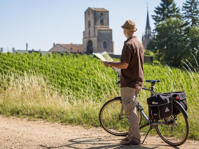 Vignoble Toulois